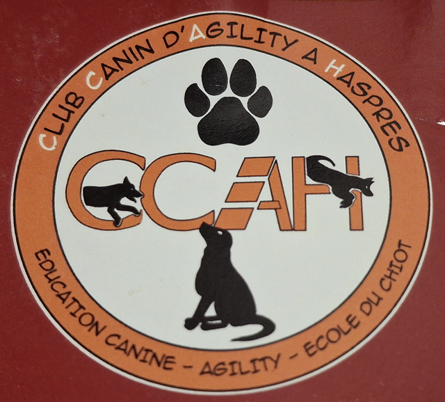 Logo Agility